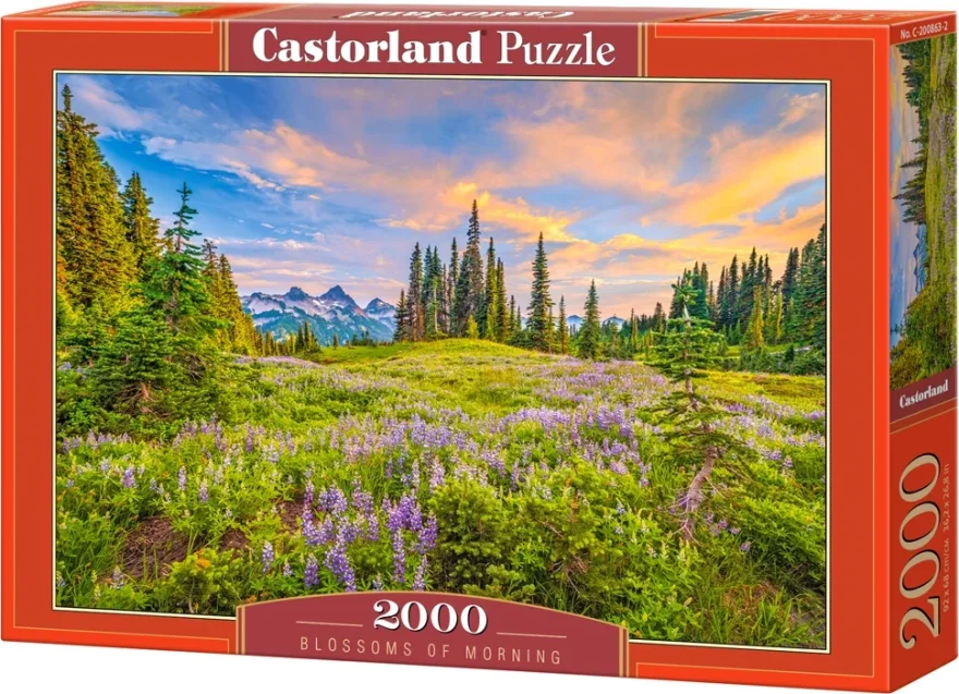 Castorland Puzzle Ranné kvety 2000 dielikov