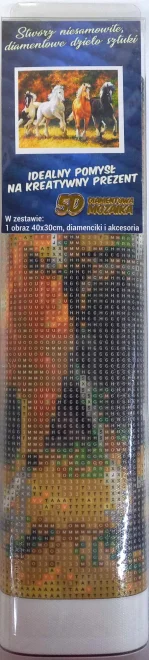 Norimpex Diamantové maľovanie Cválajúce kone 40x30cm