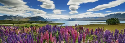Panoramatické puzzle Jezero Tekapo, Nový Zéland 1000 dílků