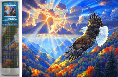 Diamantové malování Majestátní dravec 40x30cm