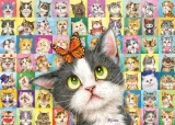 Schmidt Puzzle Mačacie výrazy 1000 dielikov