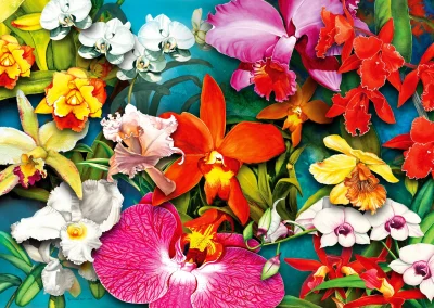 Puzzle Džungle orchidejí 1000 dílků