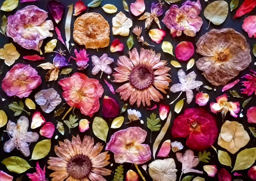ENJOY Puzzle Ružová 1000 dielikov
