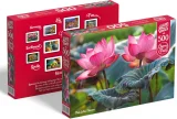 puzzle-ruzove-kvety-lotosu-500-dilku-234132.jpg