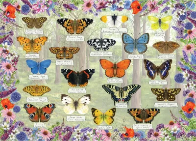 Puzzle Nádherní motýlci 1000 dílků
