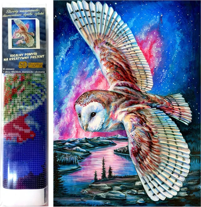Norimpex Diamantové maľovanie Soví let 40x30cm