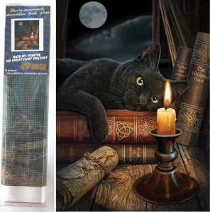 Diamantové malování Čarodějnická hodina 40x30cm