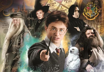 Puzzle Harry Potter: Učitelé 1000 dílků