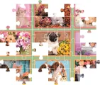 puzzle-stenatka-180-dilku-213739.jpeg