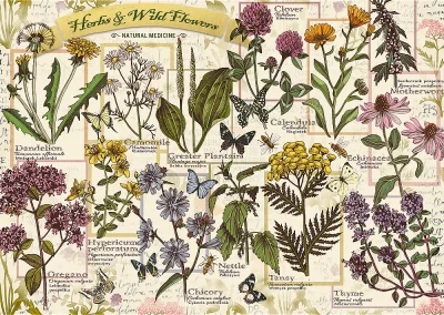 Puzzle Herbarium: Léčivé byliny 500 dílků