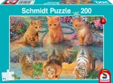 Schmidt Puzzle Keď vyrastiem 200 dielikov