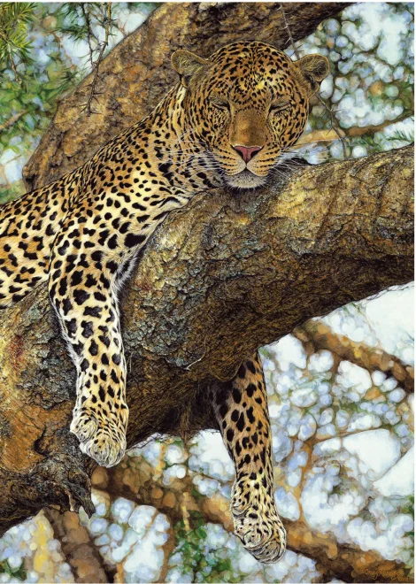 Dino Puzzle Leopard 1000 dielikov