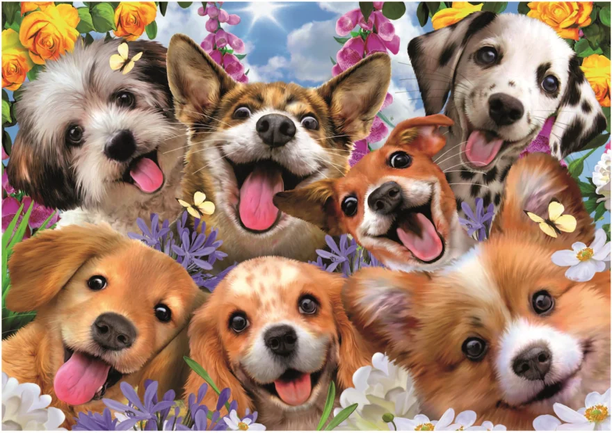 puzzle-steneci-selfie-1000-dilku-221589.jpg