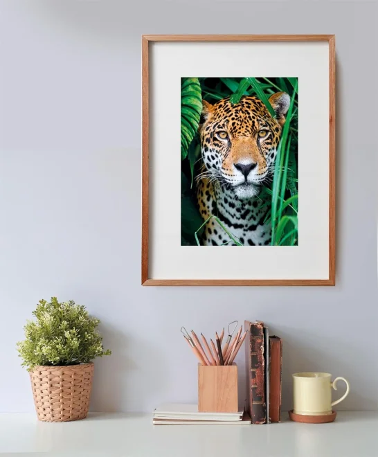 puzzle-jaguar-v-dzungli-500-dilku-232846.jpg