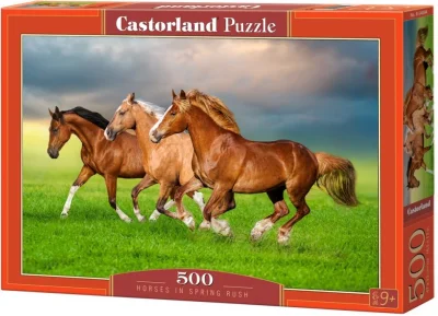 Puzzle Kone v jarnom zhone 500 dielikov