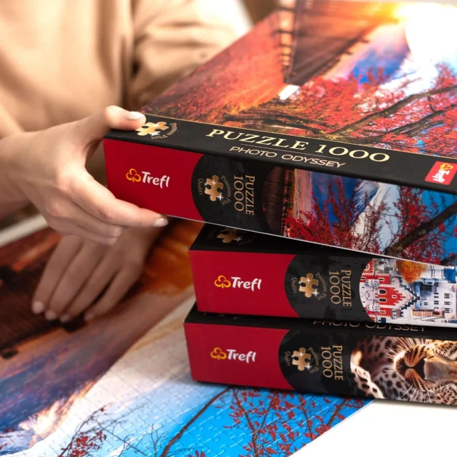 Trefl Puzzle Premium Plus Tea Time: Spevavé vtáky 1000 dielikov