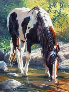 Diamantové maľovanie Strakatý kôň 40x30cm