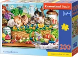 puzzle-pro-deti-castorland-200-dilku-drimajici-kotata-234476.png