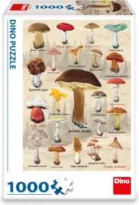 Puzzle Dino 1000 dílků Houby koláž