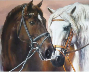 Diamantové malování Norimpex 40x30 cm Portrét dvou koní