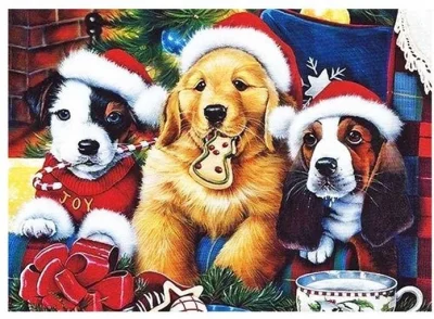 Diamantové malování Norimpex 40x30 cm Pejsci o Vánocích