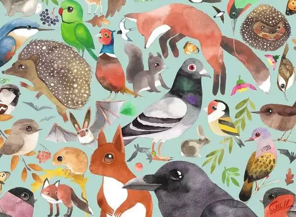 Puzzle Ravensburger 500 dielikov Záhradní návštevníci