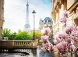 puzzle-ravensburger-500-dilku-jarni-pariz-240193.jpg