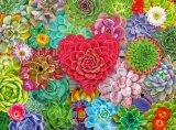 puzzle-ravensburger-500-dilku-sukulentni-raj-240360.jpg