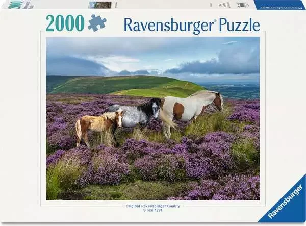 puzzle-ravensburger-2000-dilku-divoci-kone-240696.png