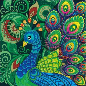 Diamantové malování Norimpex 30x30 cm Páv s barevnými křídly 7D