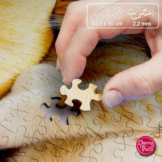 Puzzle Cherry Pazzi 500 dielikov Tu velím ja
