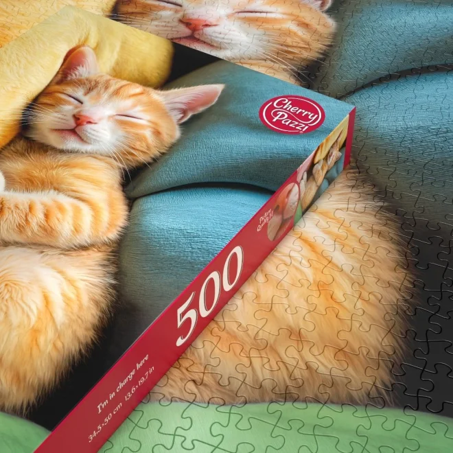 Puzzle Cherry Pazzi 500 dielikov Tu velím ja