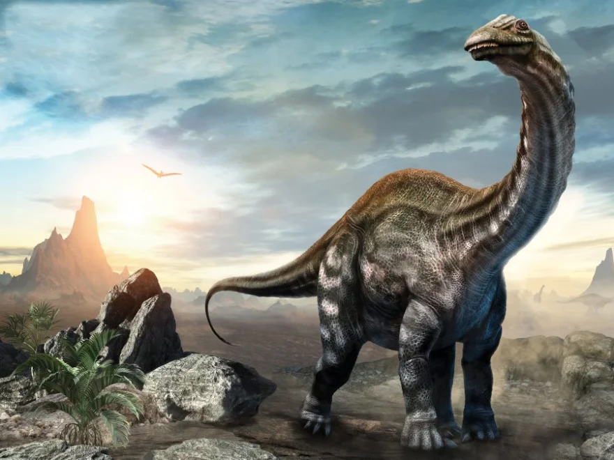 Puzzle s 3D efektom Prime 3D 48 dielikov Apatosaurus