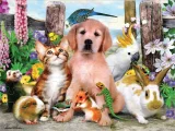 Puzzle s 3D efektom Prime 3D 48 dielikov 