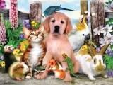 Puzzle s 3D efektom Prime 3D 48 dielikov 