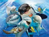 Puzzle s 3D efektom Prime 3D 48 dielikov 