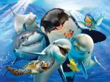 Puzzle s 3D efektom Prime 3D 48 dielikov 