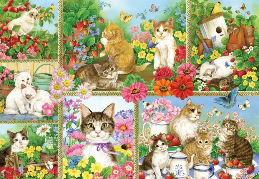 Puzzle Bluebird 1000 dielikov Mačky a mačiatka