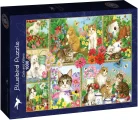 Puzzle Bluebird 1000 dielikov Mačky a mačiatka