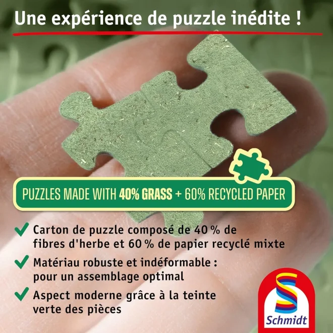 Puzzle Schmidt 1000 dielikov Robert Finale - Montmartre, Paríž