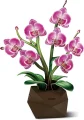 3D puzzle CubicFun  Botanical Collection: Orchidea 85 dielikov