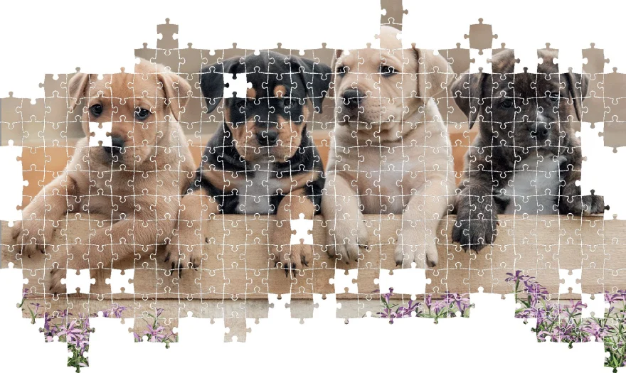 Puzzle Lisciani 500 dielikov 