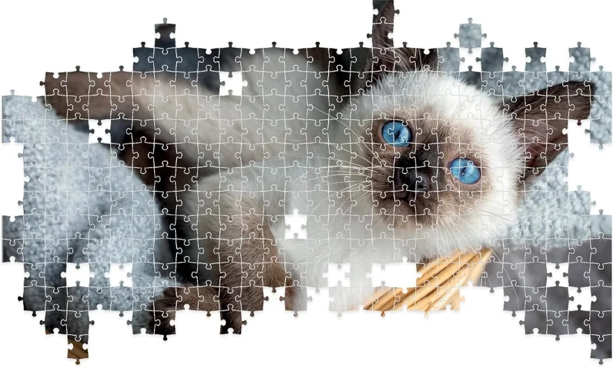 Puzzle Lisciani 1000 dielikov 
