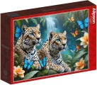 Puzzle Alipson 1000 dielikov Dva leopardy