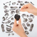 3D Crystal Puzzle  Gorila a mláďa 48 dielikov