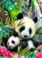 Ravensburger Puzzle Nádherná panda 300 dielikov