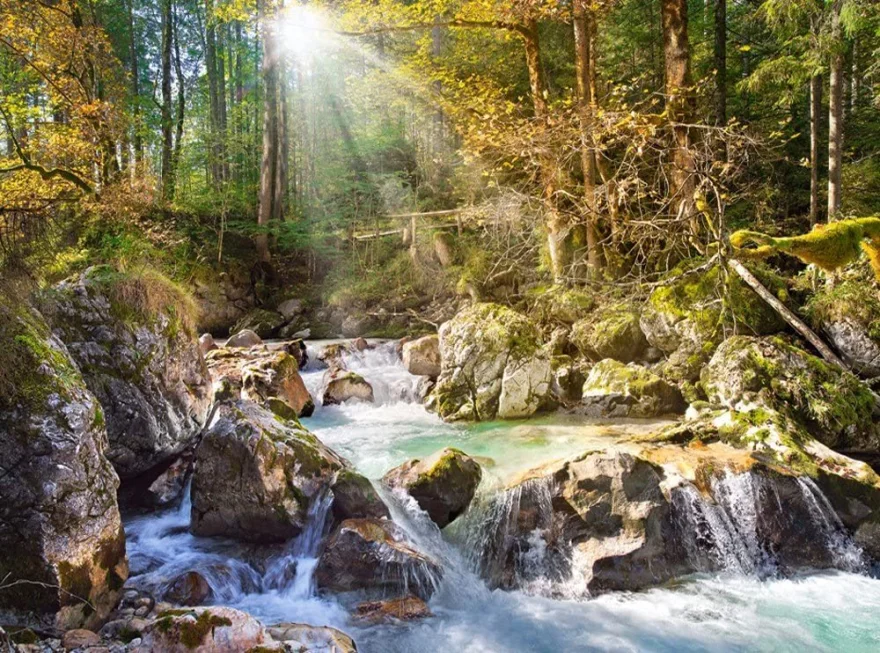 Castorland Puzzle Riečka v lese 2000 dielikov