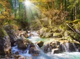 Castorland Puzzle Riečka v lese 2000 dielikov