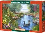 Castorland Puzzle Čierne labute 1500 dielikov
