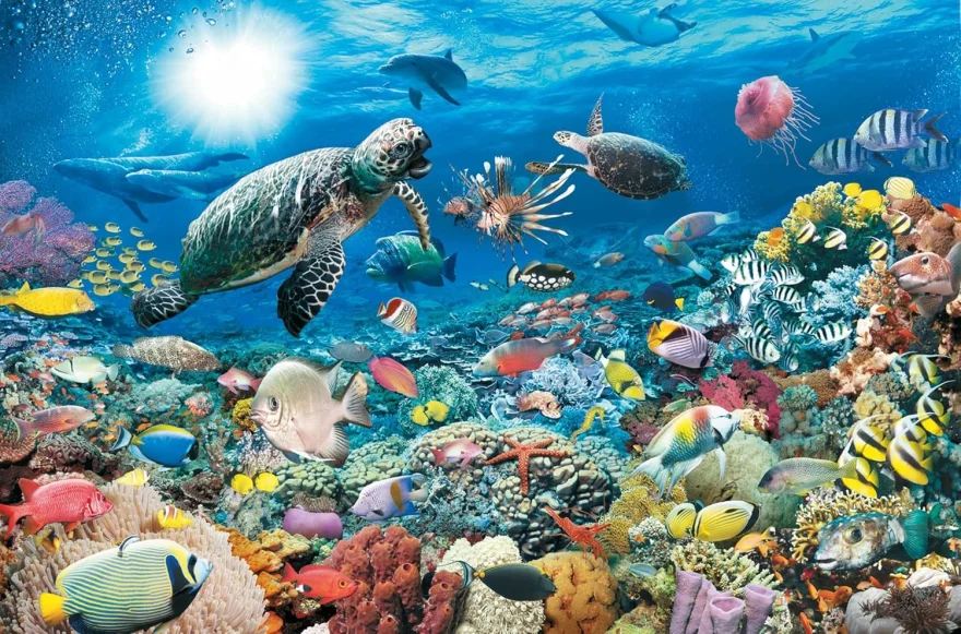 Ravensburger Puzzle Život na koralovom útese 5000 dielikov